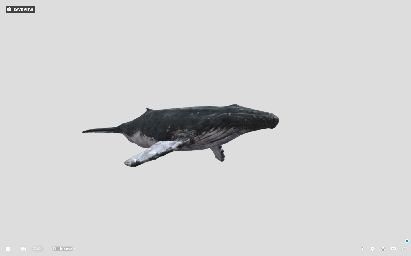 Whale Chat | Cetalingua Project